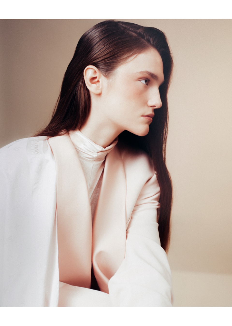 Model Image