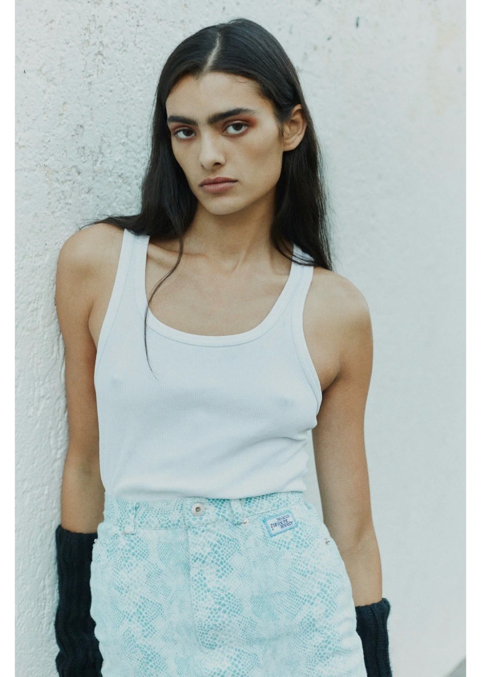 Model Image