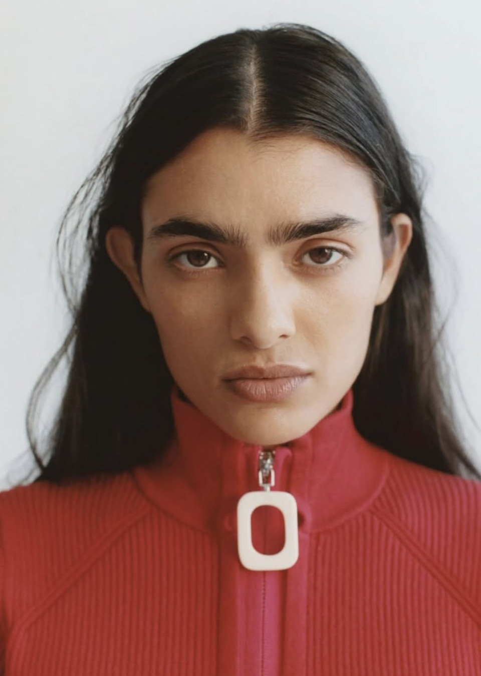 Model Image