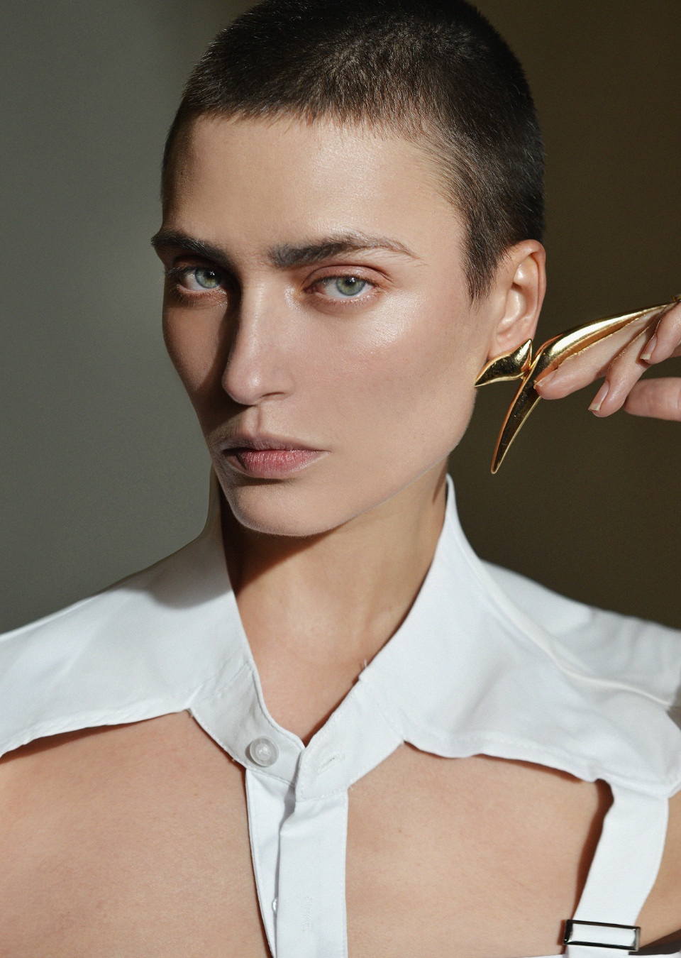 Model Image