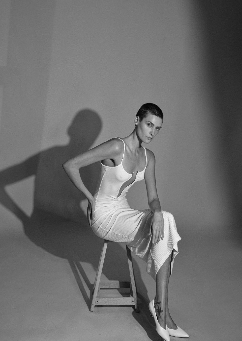 Model Image