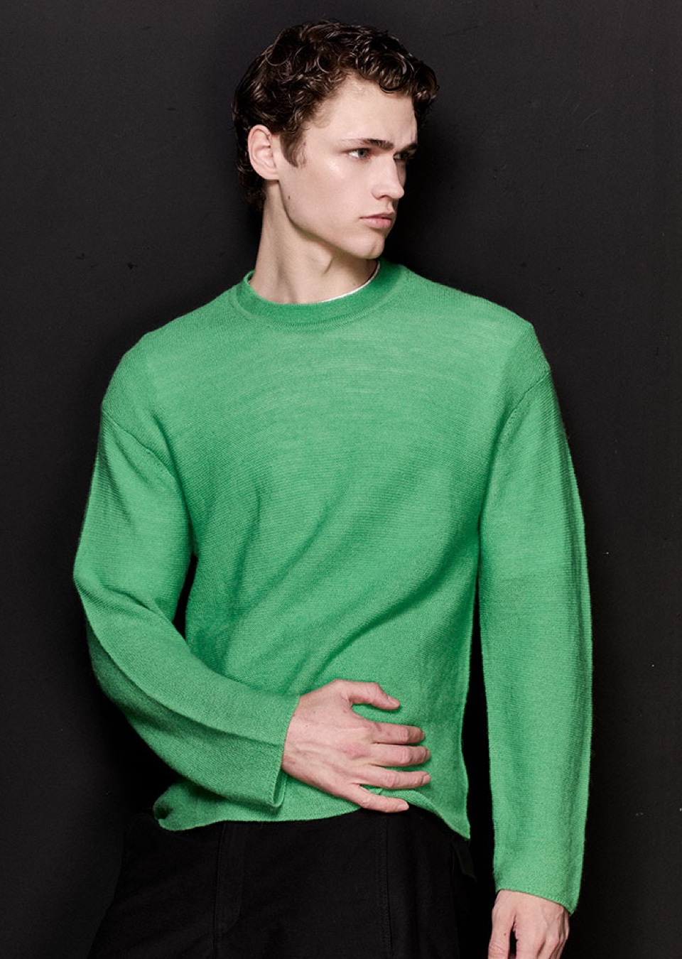 Model Image