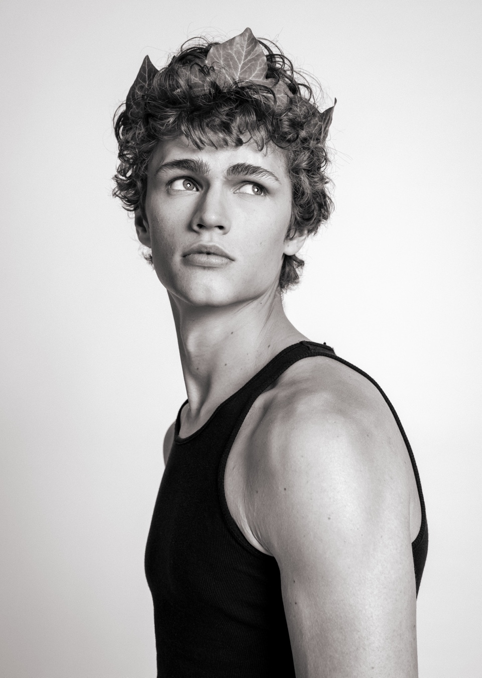 Model Image