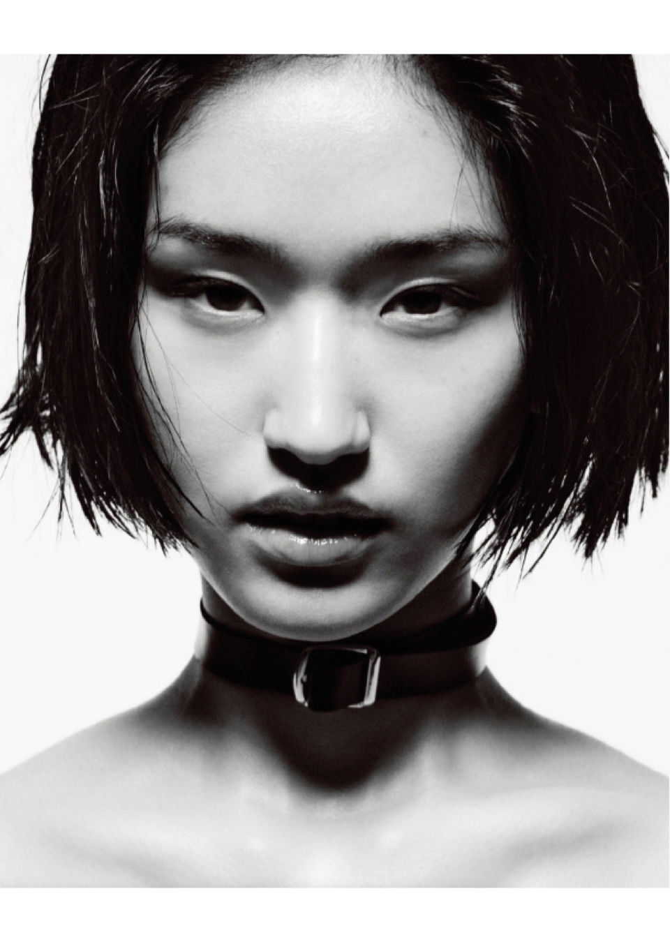 Model Image
