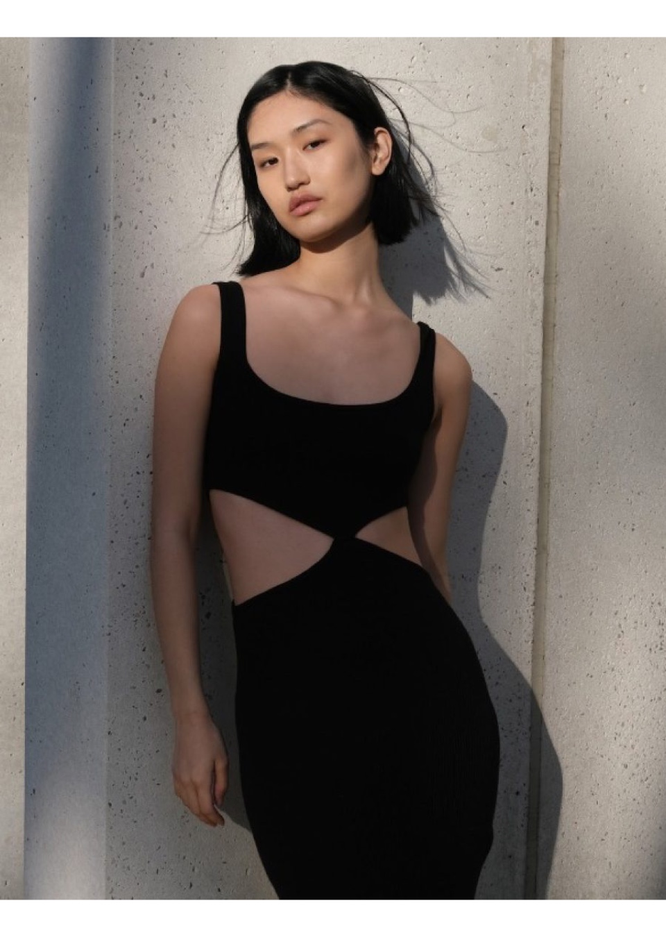 Model Image