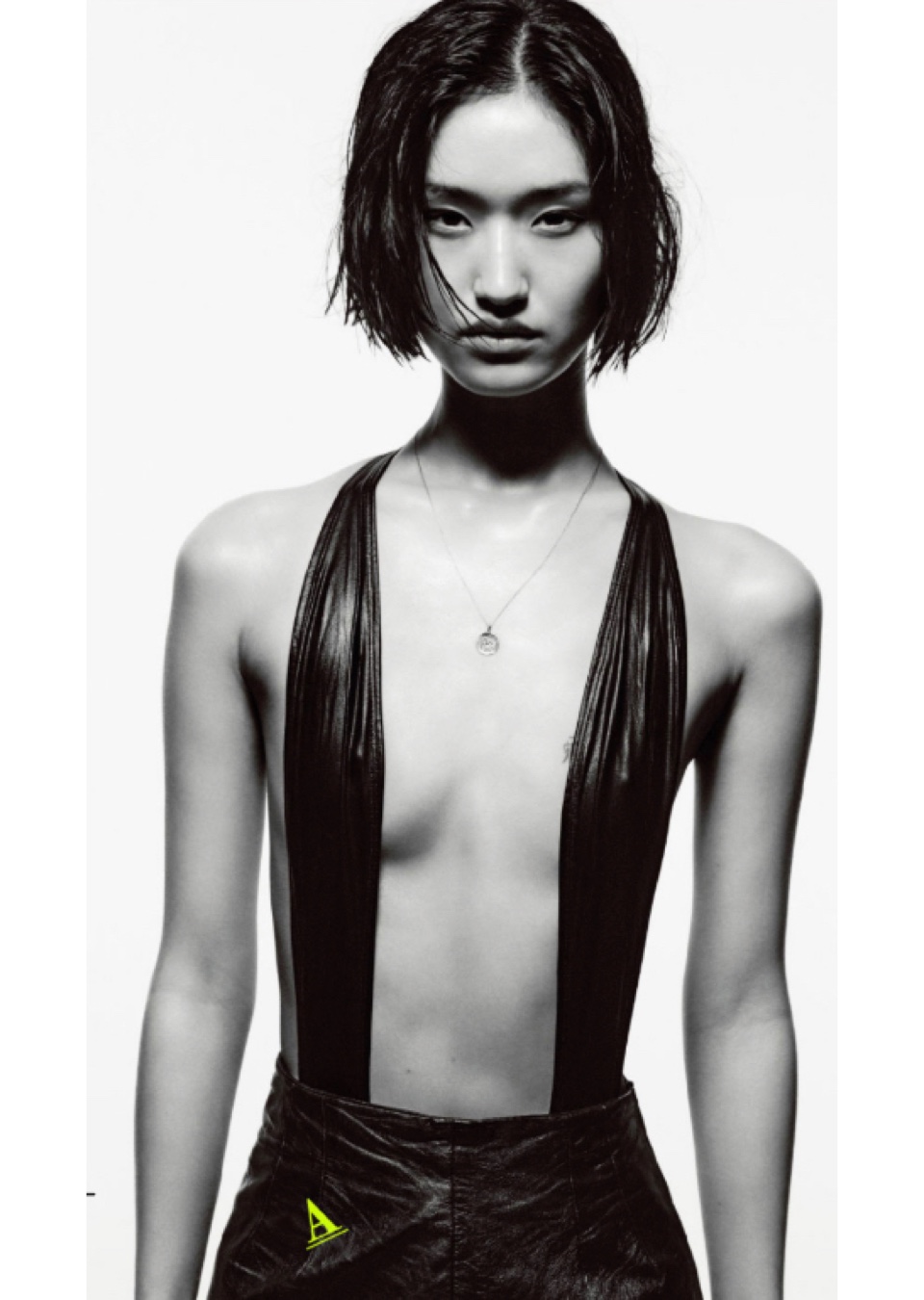 Model Image