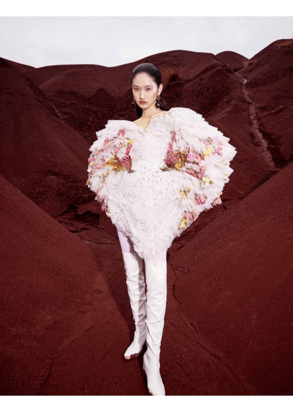 Model Image