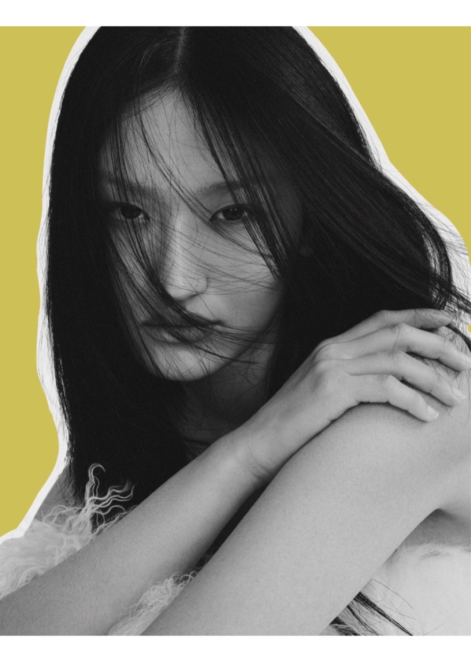 Model Image