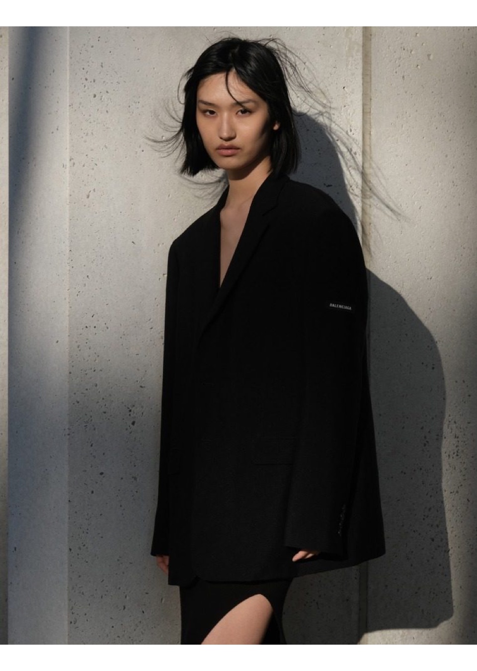 Model Image