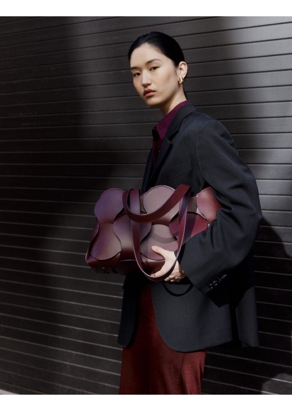 Model Image