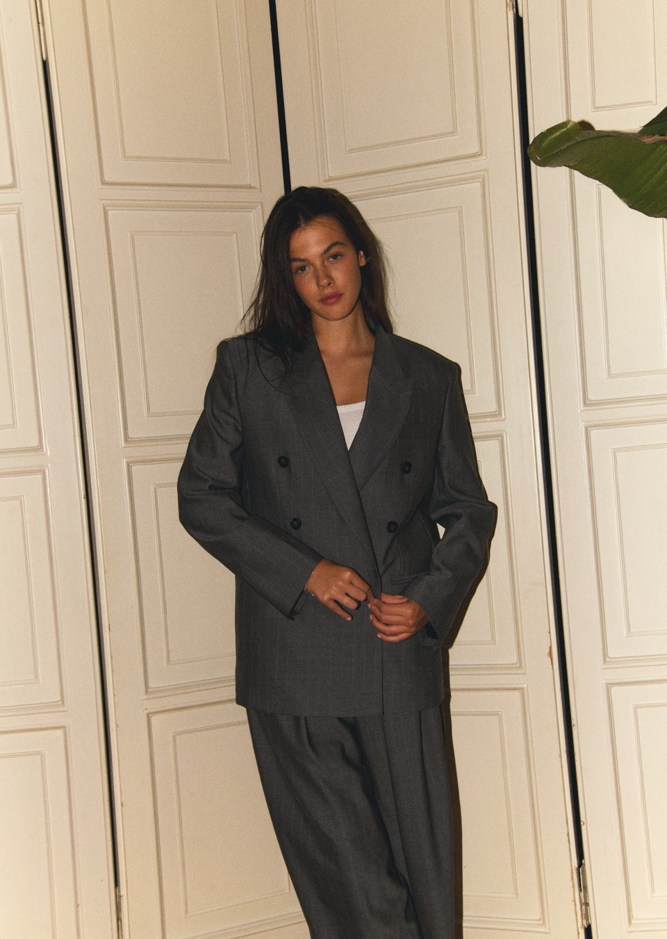 Model Image