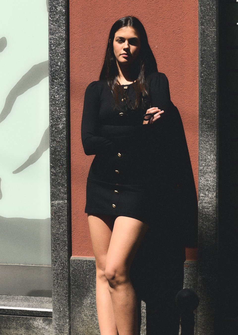Model Image