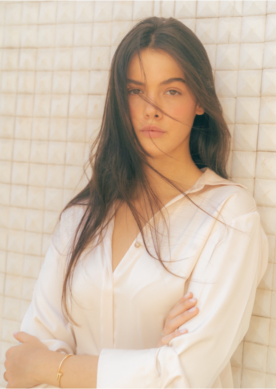 Model Image