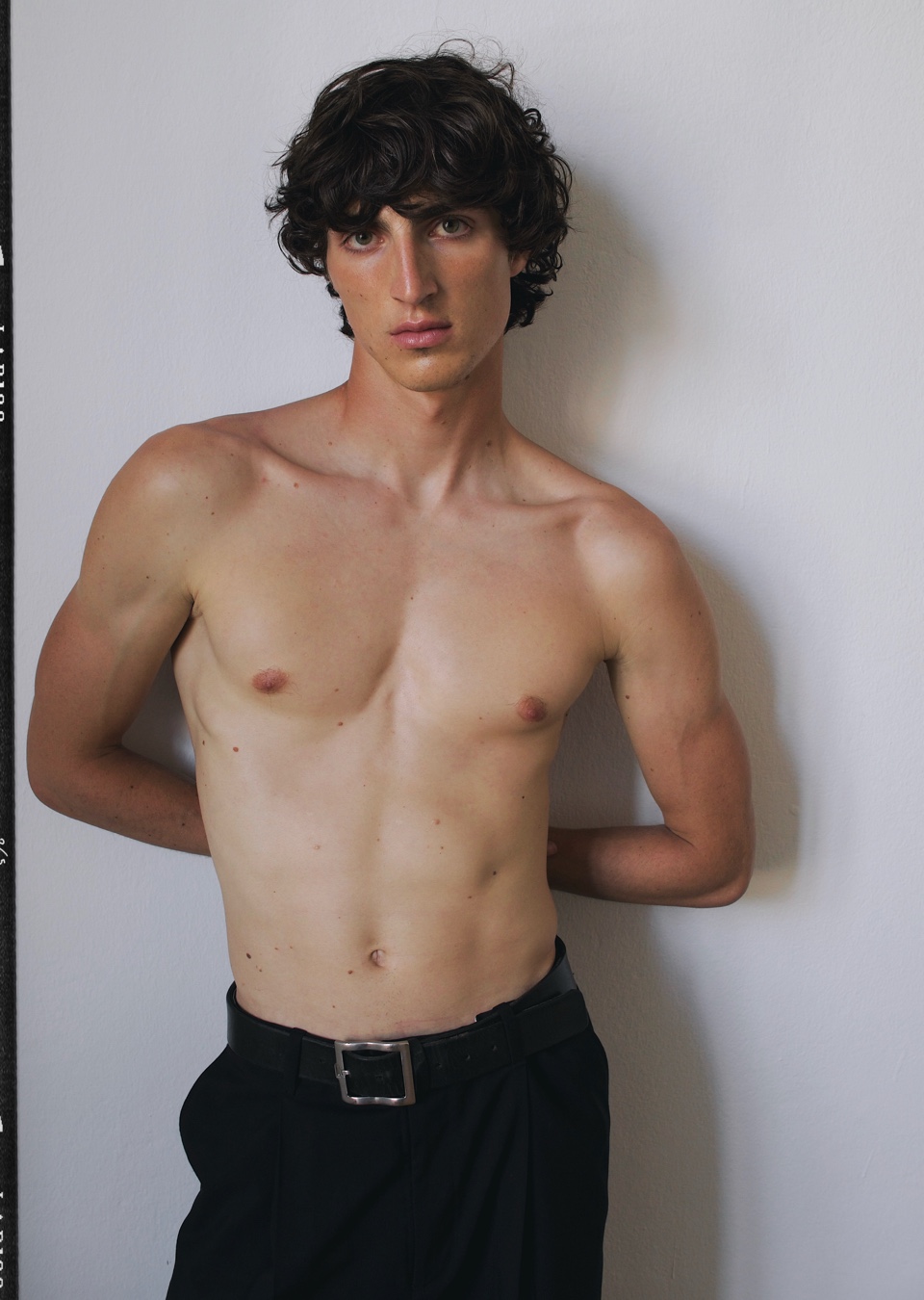 Model Image