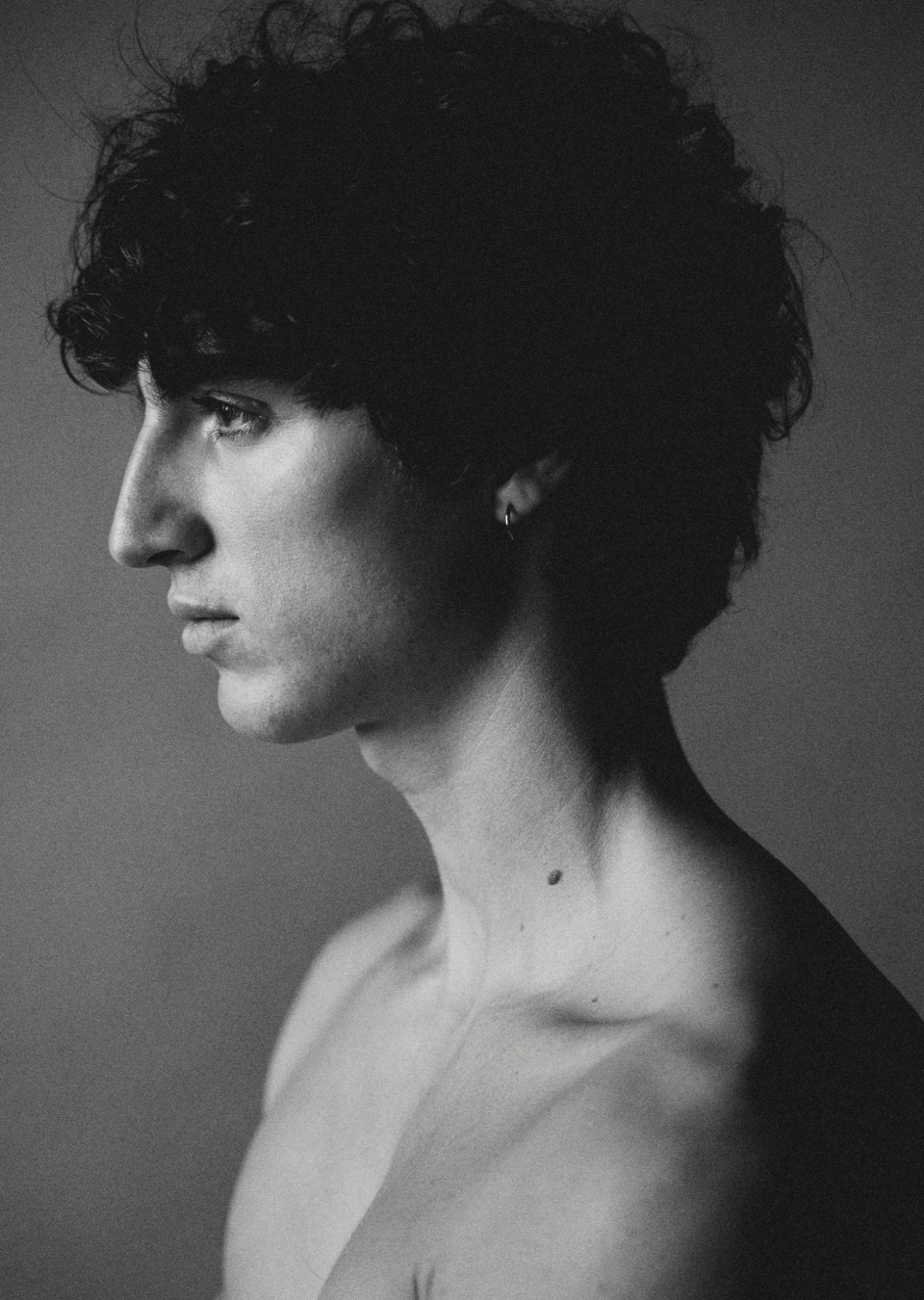 Model Image