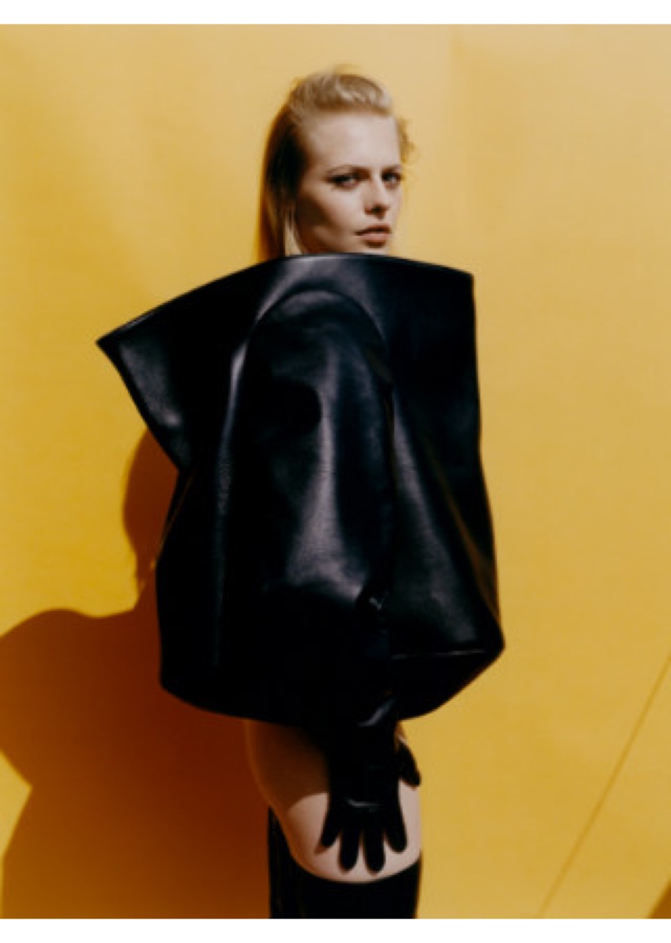 Model Image