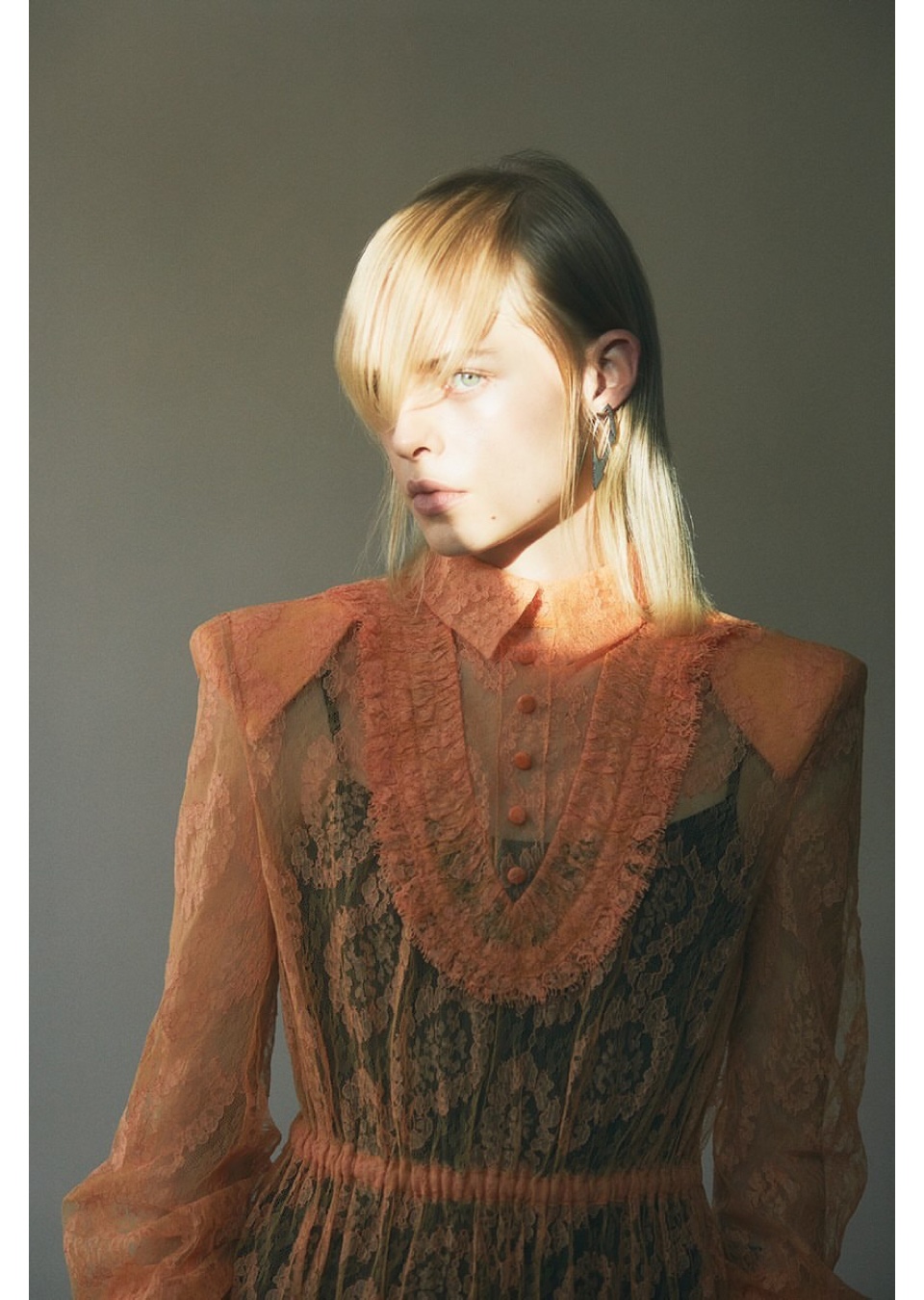 Model Image