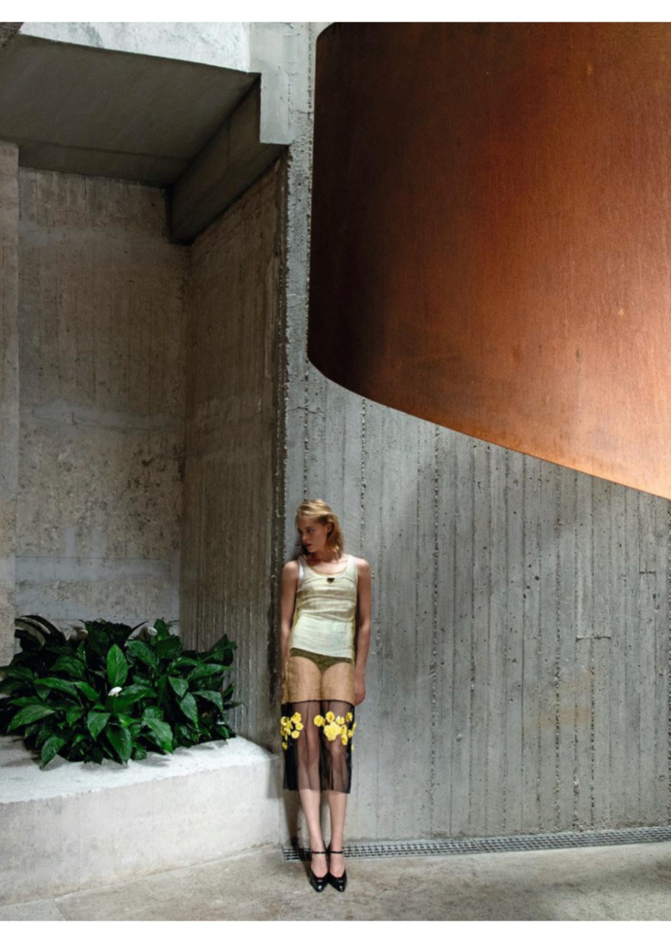 Model Image