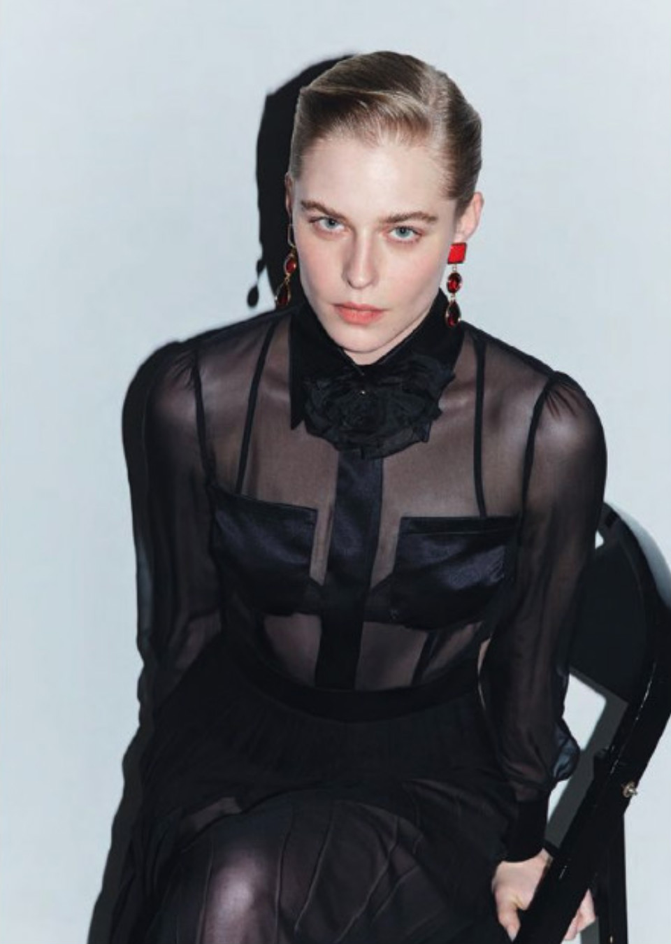 Model Image