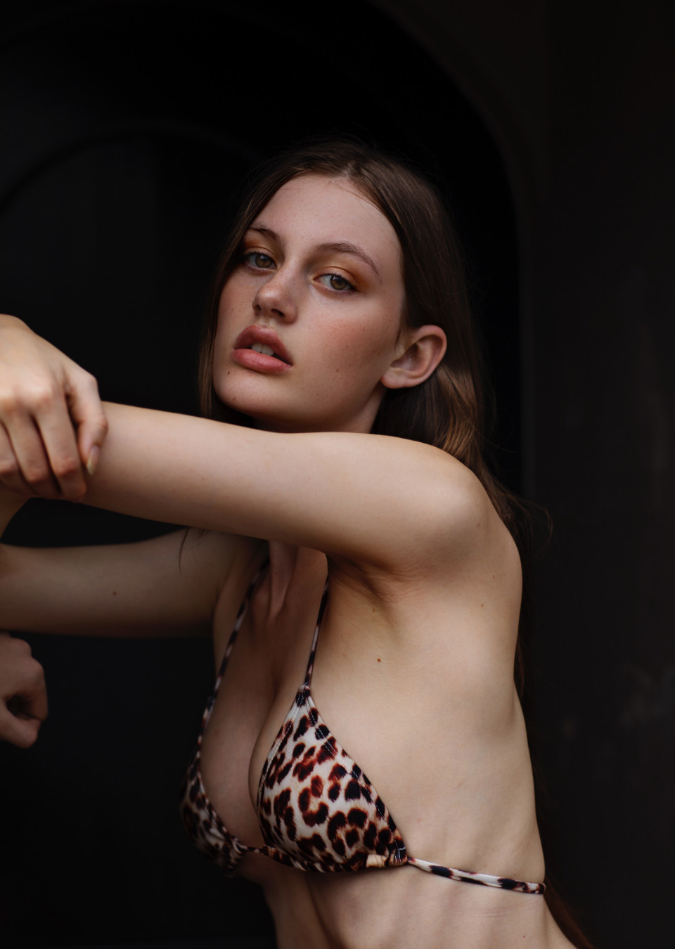 Model Image