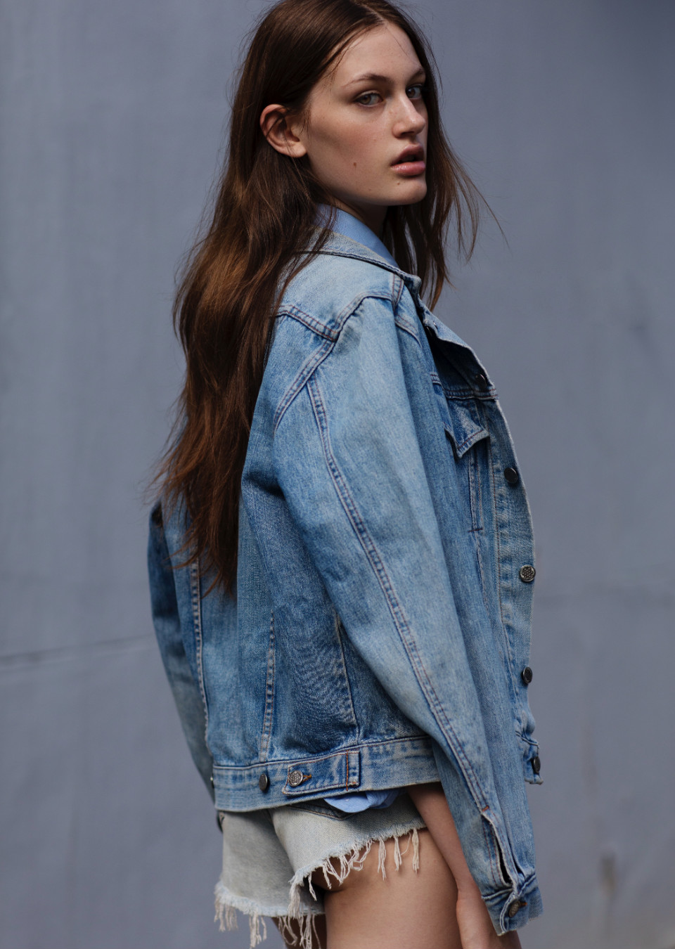 Model Image