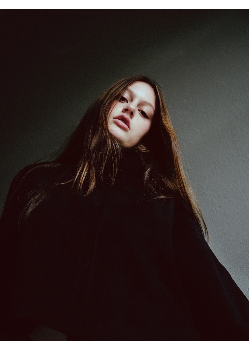 Model Image