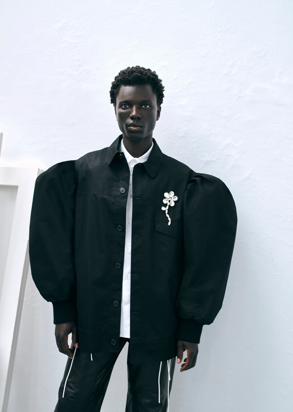 Model Image