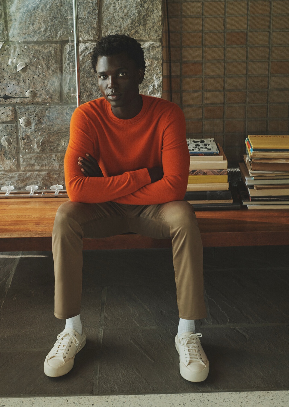 Model Image