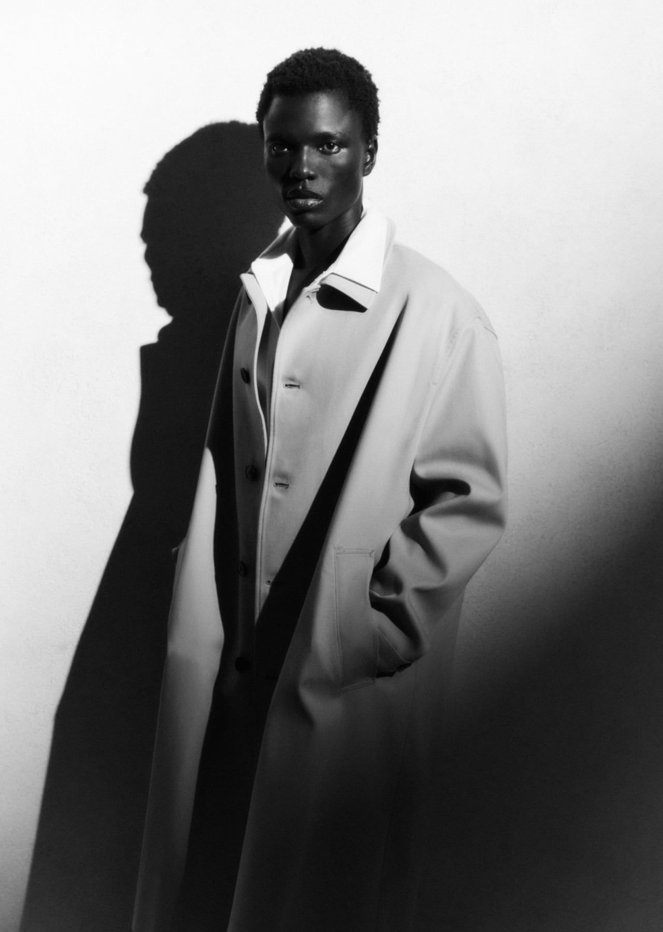 Model Image