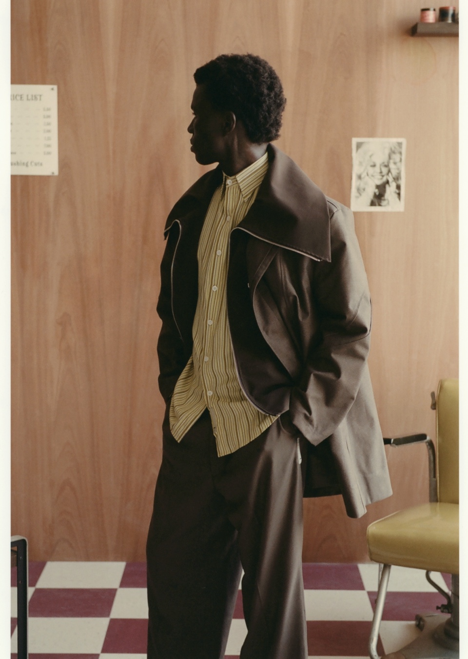 Model Image