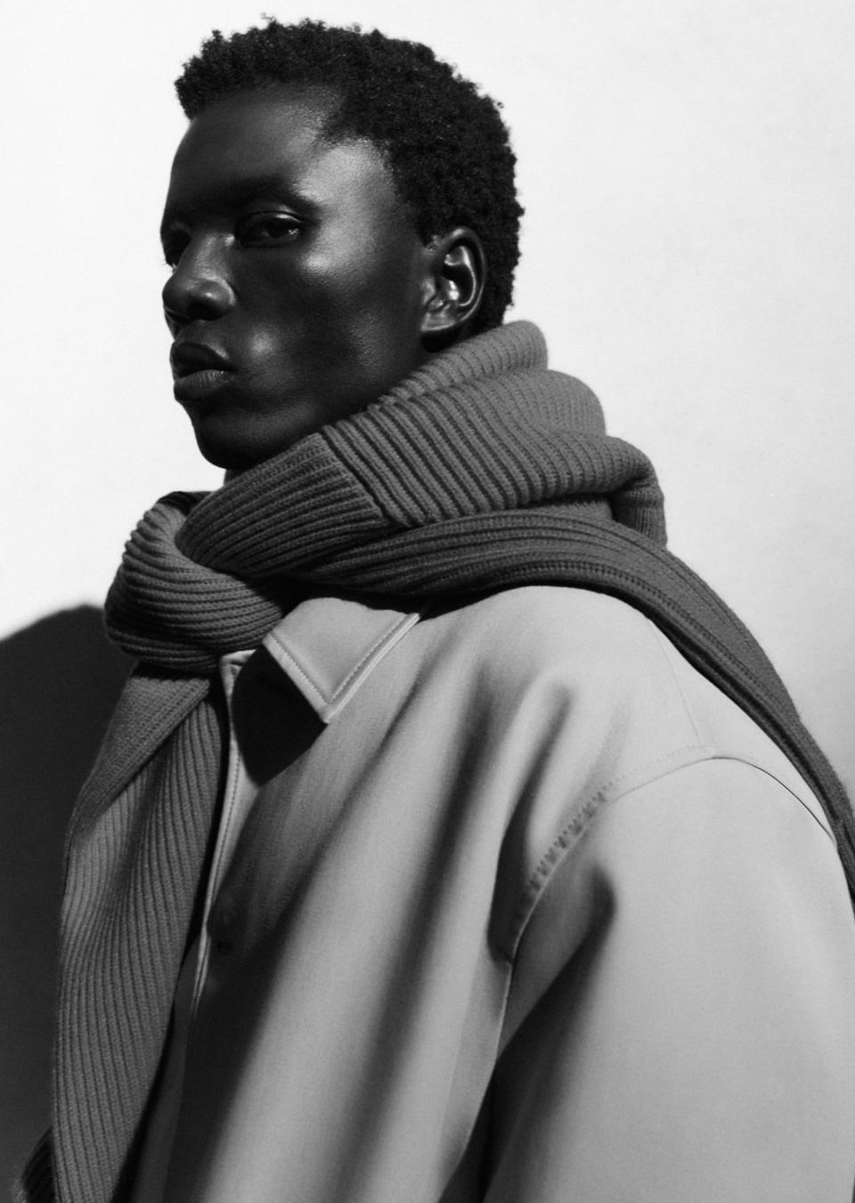 Model Image