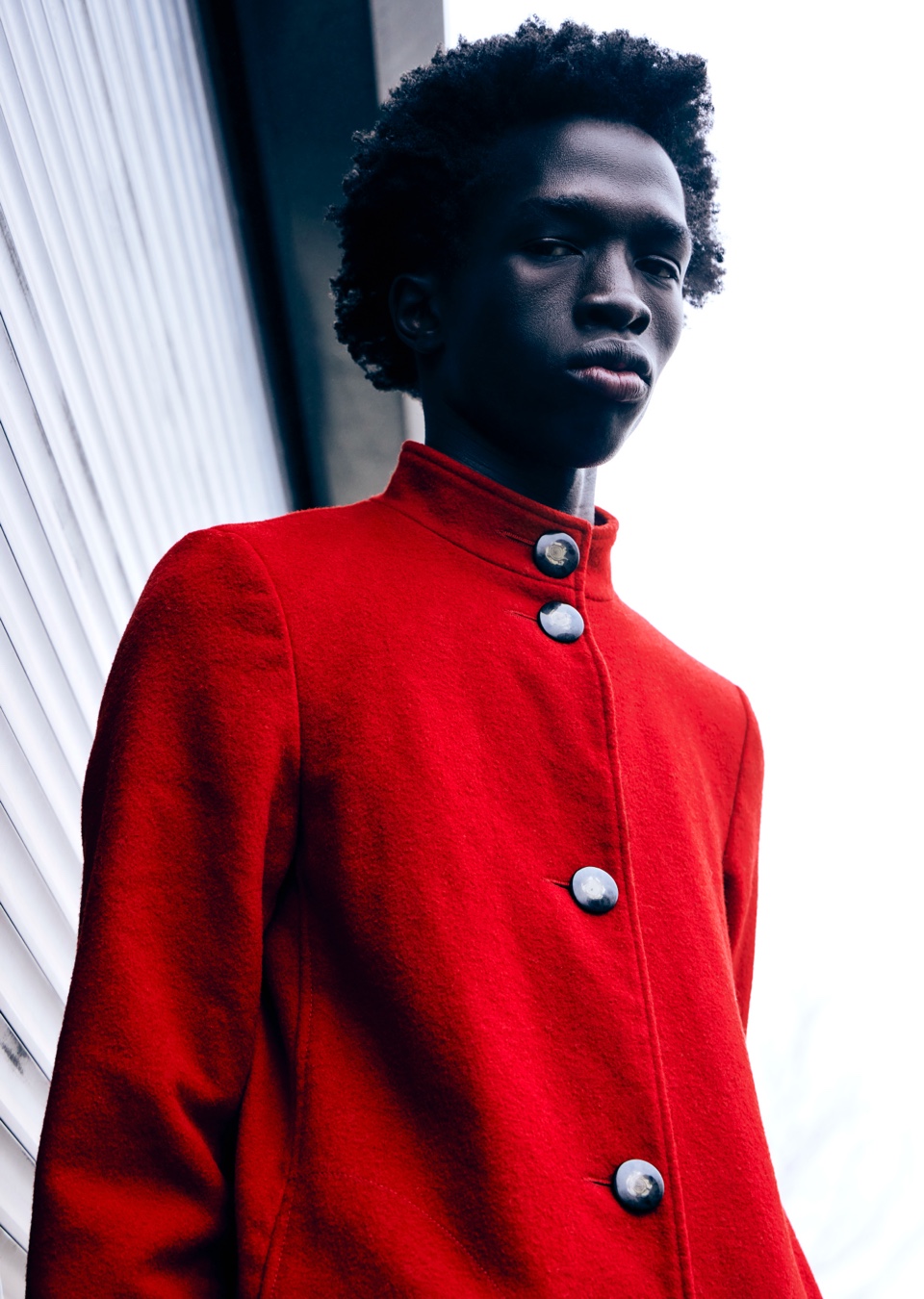 Model Image
