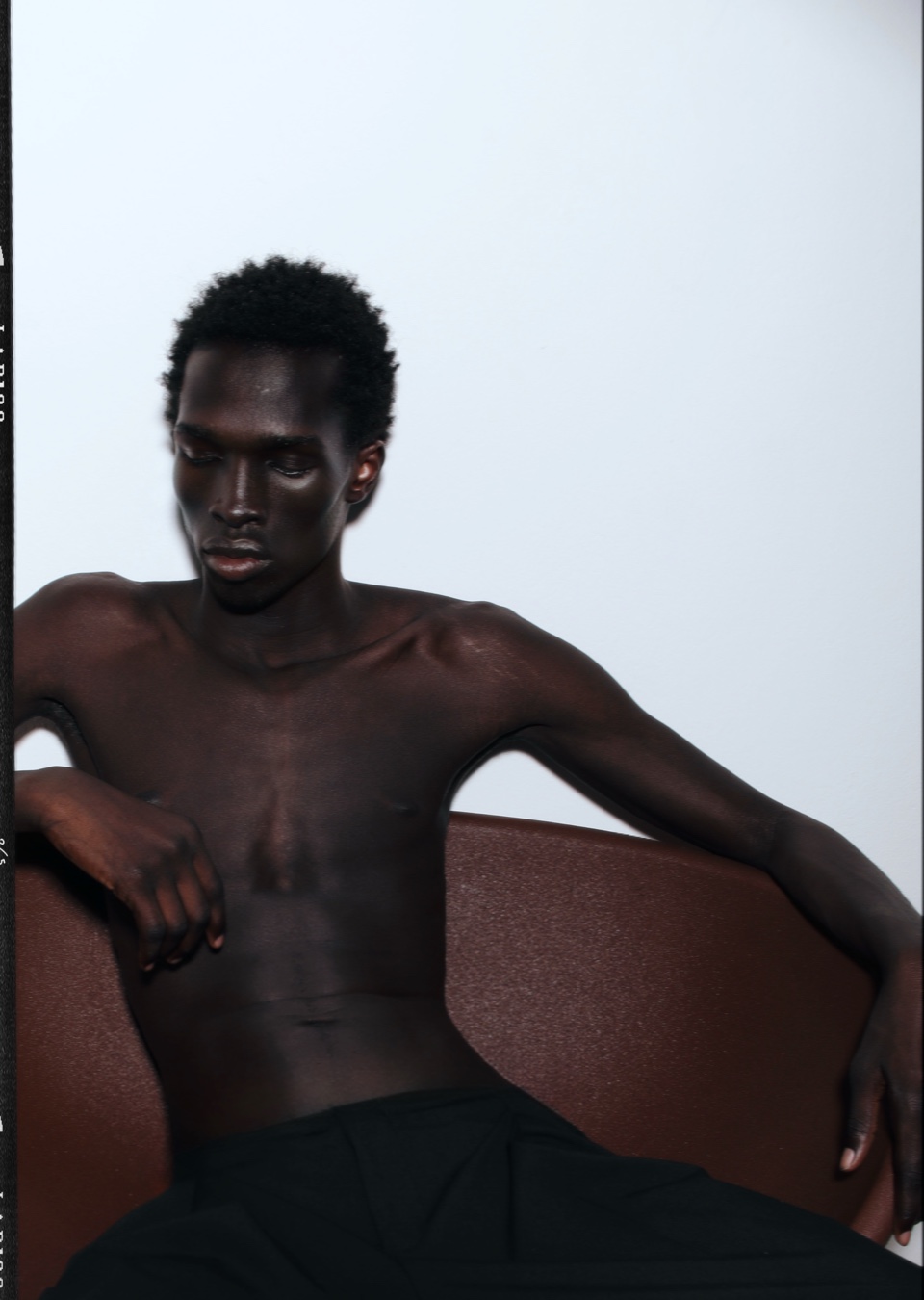 Model Image