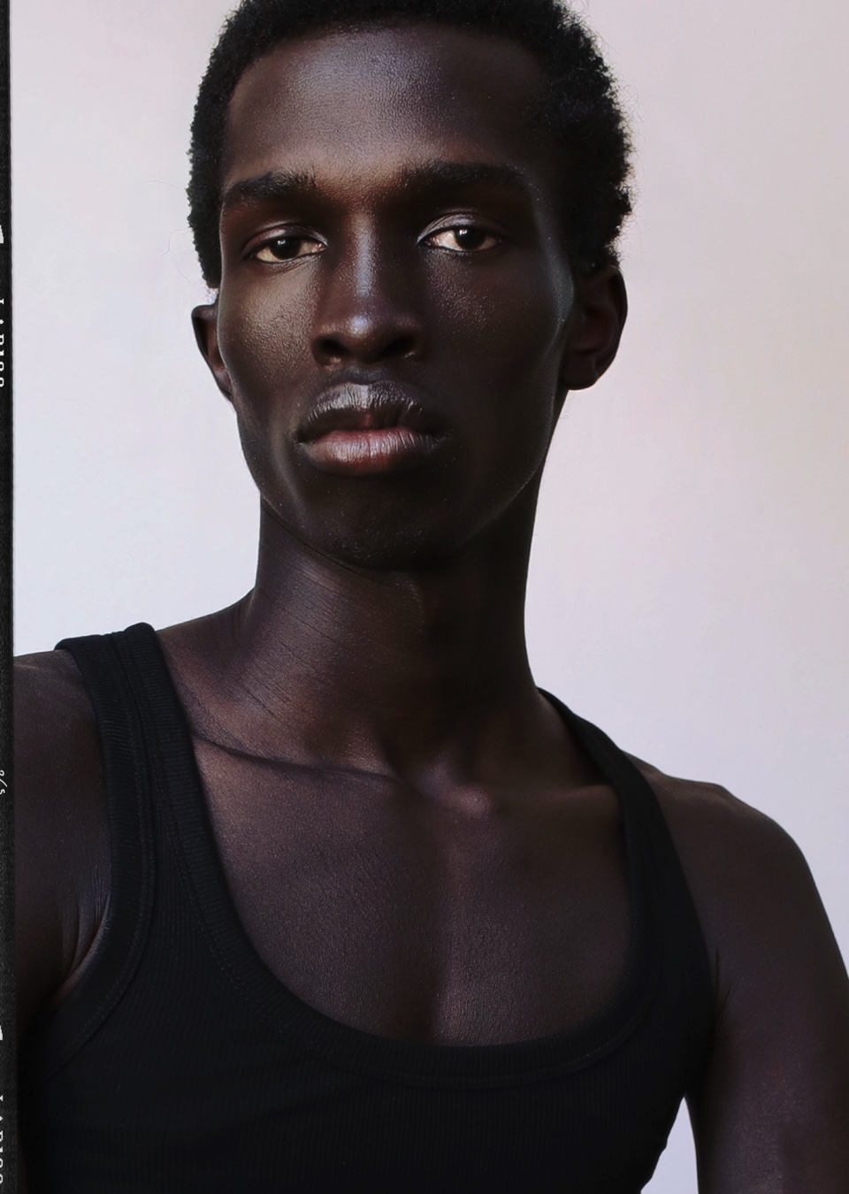 Model Image