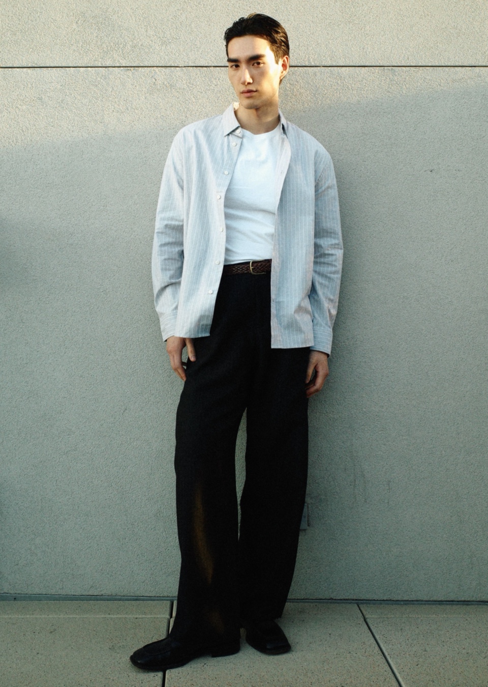 Model Image