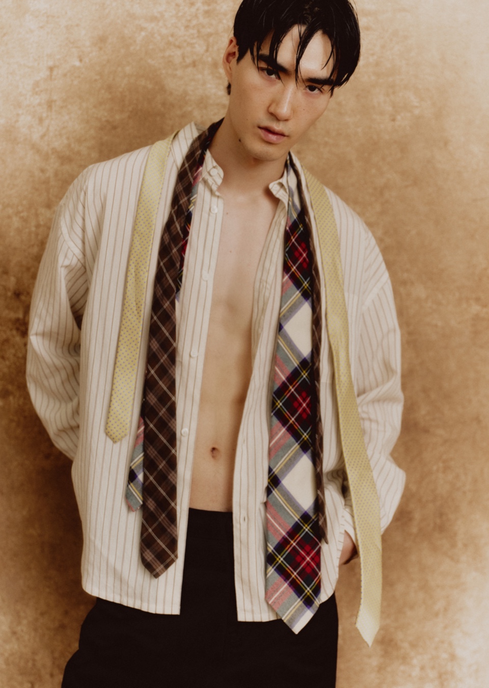Model Image