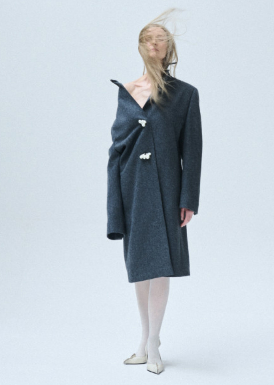 Model Image
