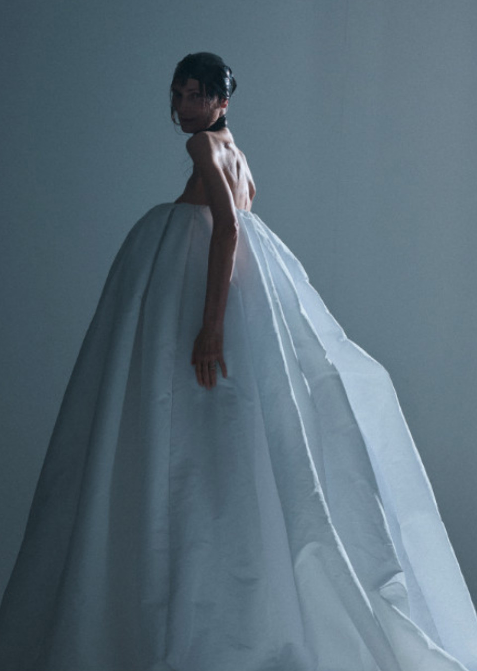 Model Image