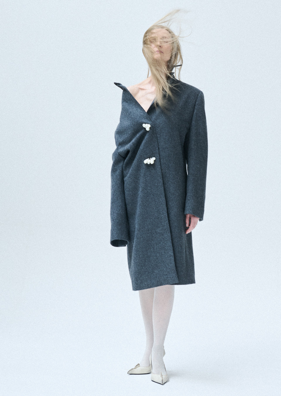 Model Image
