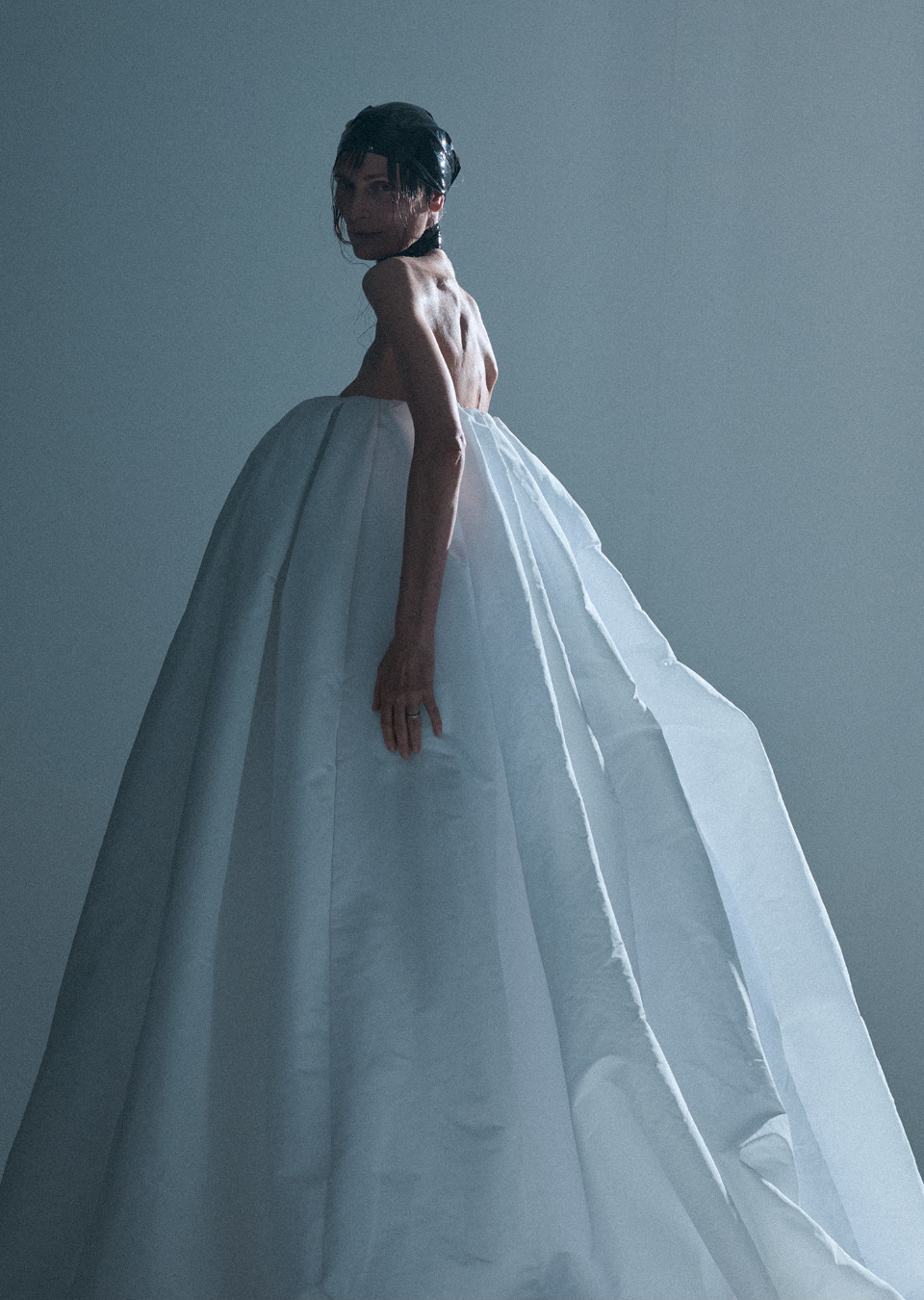 Model Image