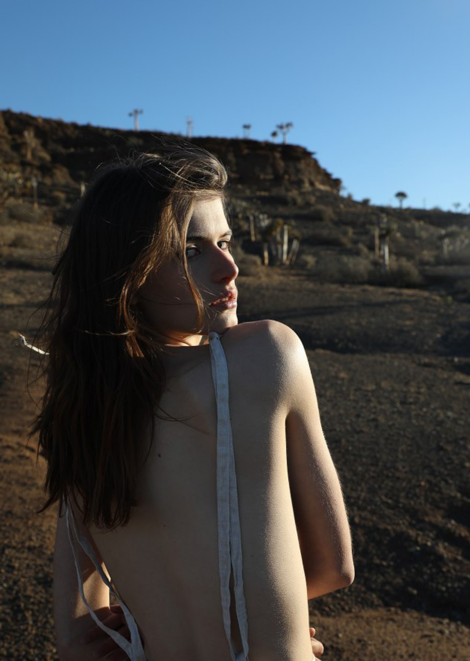 Model Image