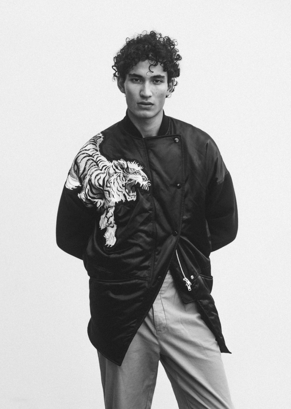 Model Image