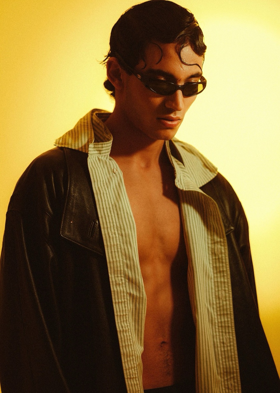 Model Image