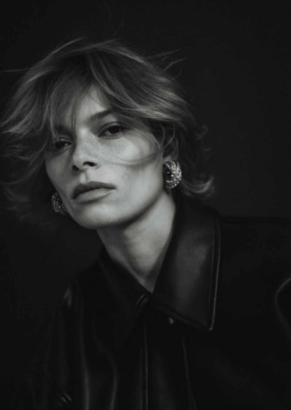 Model Image