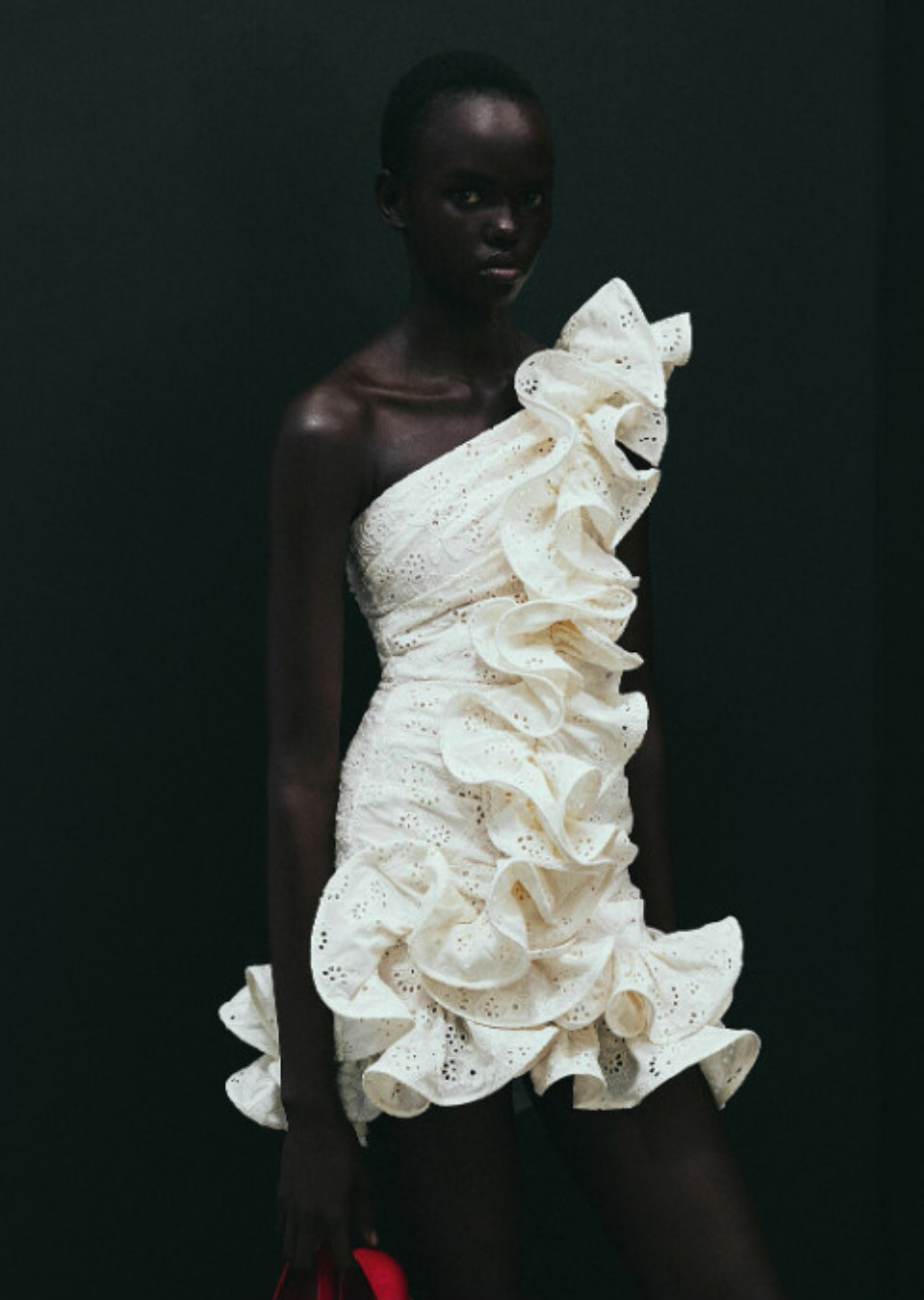 Model Image