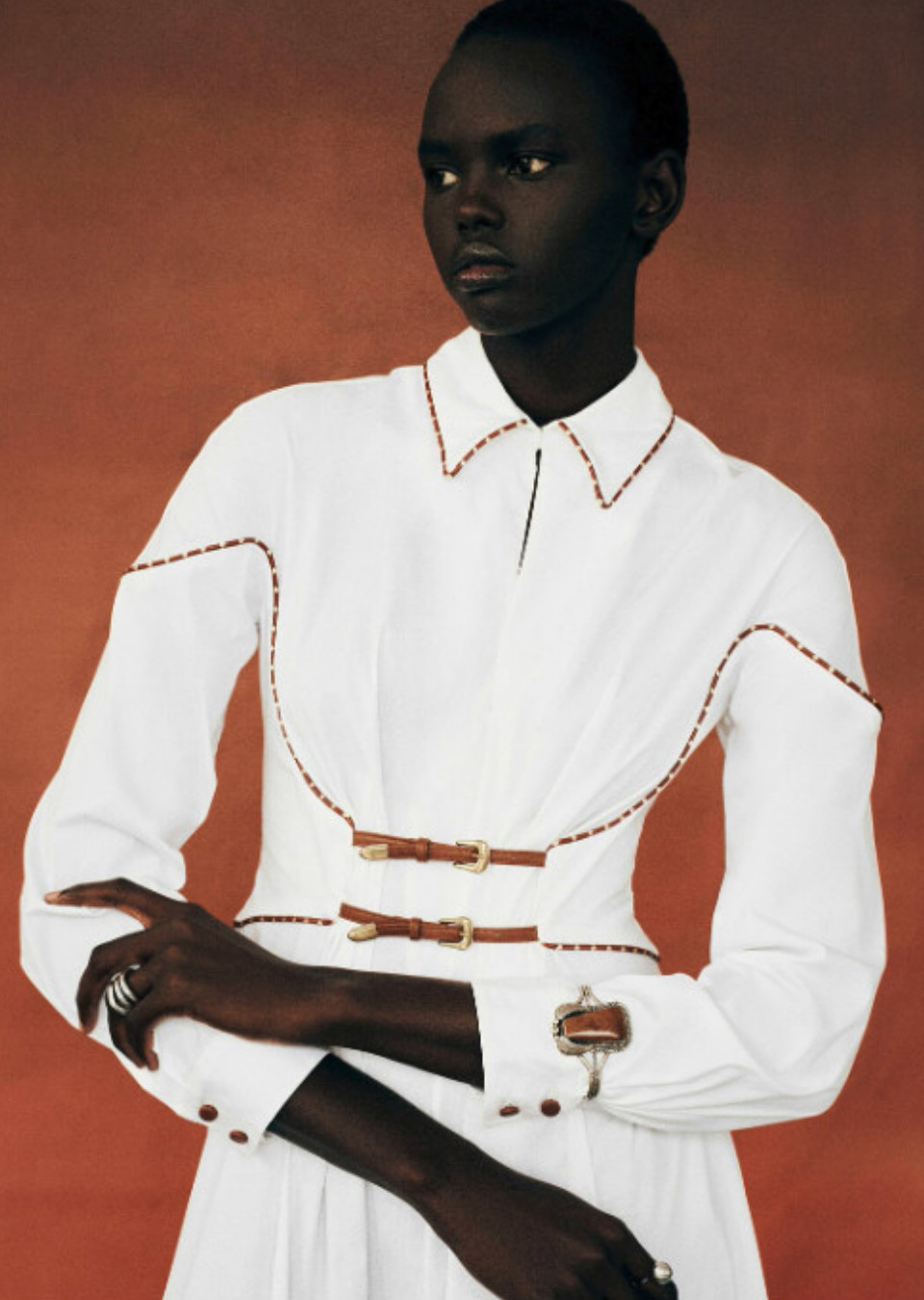 Model Image
