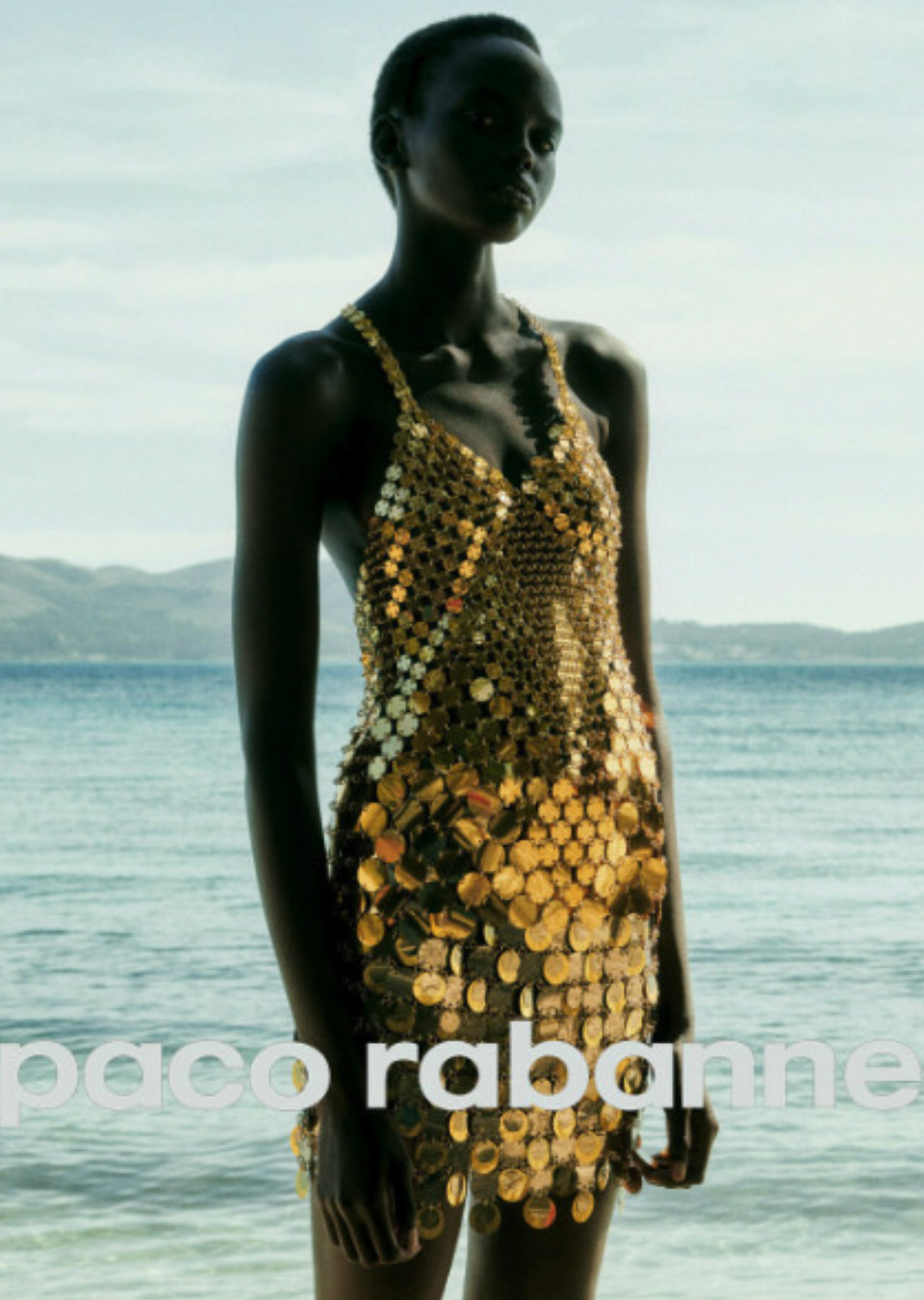Model Image