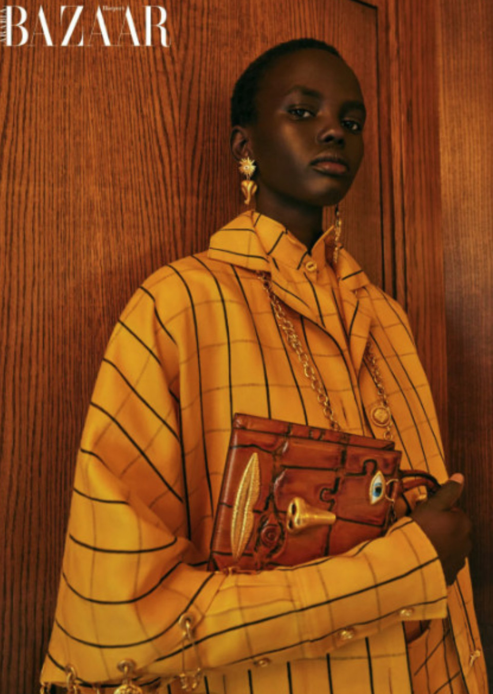 Model Image
