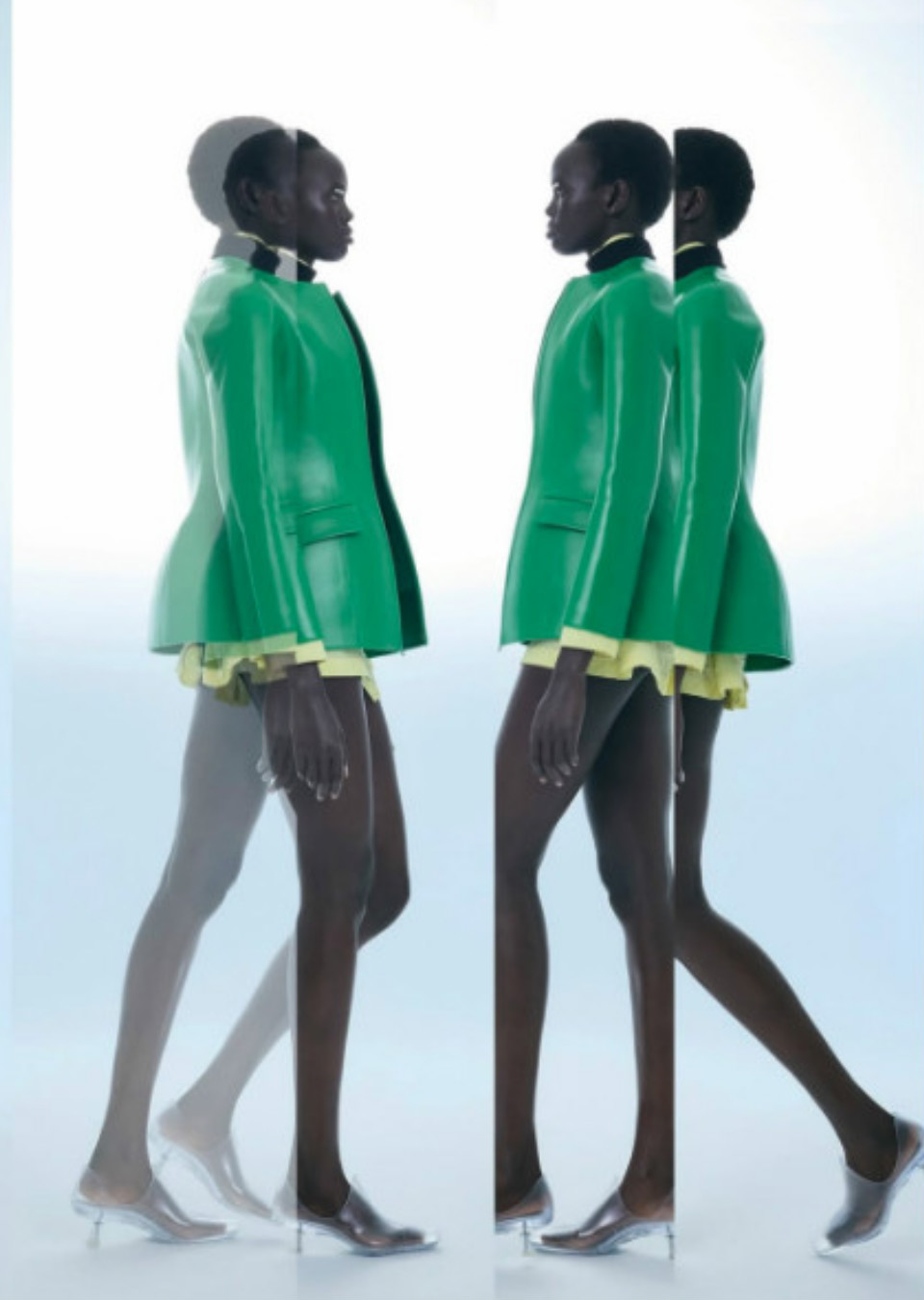 Model Image