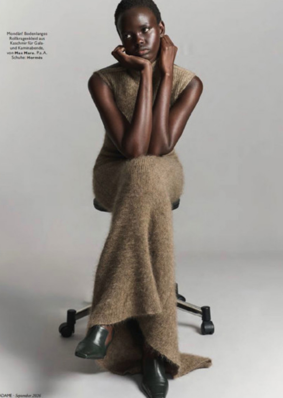 Model Image